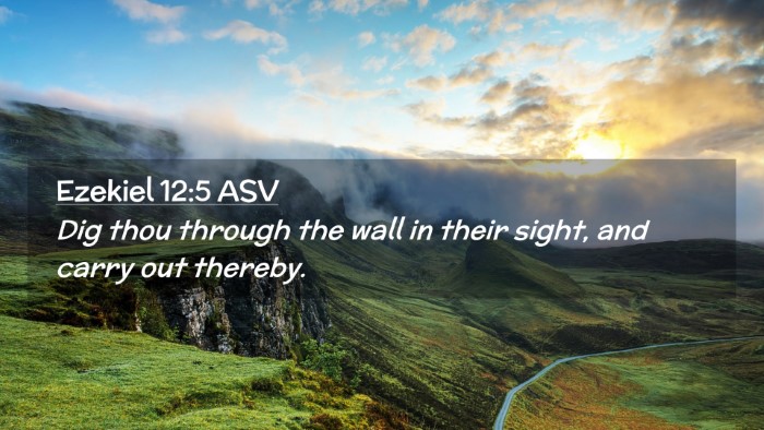 Picture 02 - Ezekiel 12:5 ASV Desktop Wallpaper - Dig thou through the wall in their sight, and - Desktop Bible Verse Wallpaper