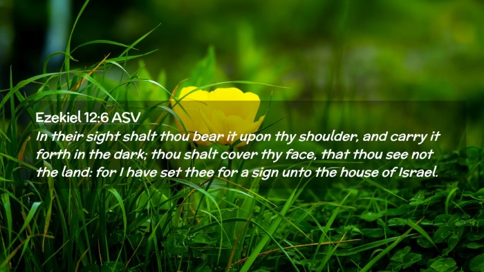 Picture 02 - Ezekiel 12:6 ASV Desktop Wallpaper - In their sight shalt thou bear it upon thy - Desktop Bible Verse Wallpaper