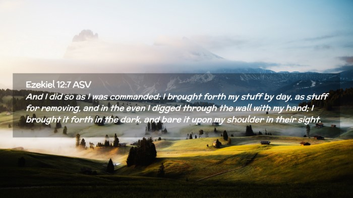 Picture 02 - Ezekiel 12:7 ASV Desktop Wallpaper - And I did so as I was commanded: I brought forth - Desktop Bible Verse Wallpaper
