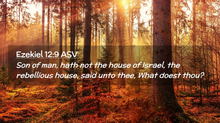 Picture 02 - Ezekiel 12:9 ASV Desktop Wallpaper - Son of man, hath not the house of Israel, the - Desktop Bible Verse Wallpaper