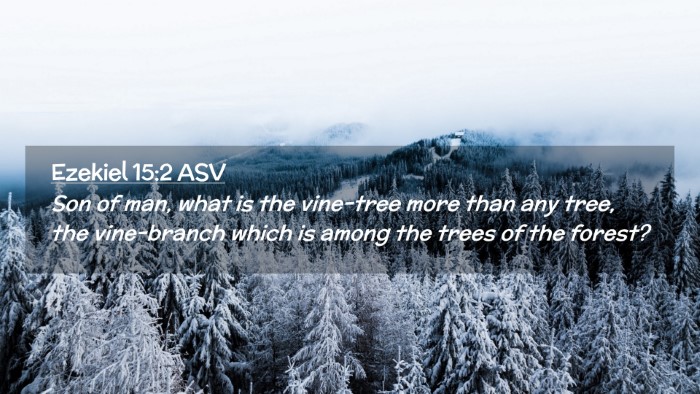 Picture 02 - Ezekiel 15:2 ASV Desktop Wallpaper - Son of man, what is the vine-tree more than any - Desktop Bible Verse Wallpaper
