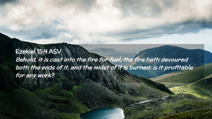 Picture 02 - Ezekiel 15:4 ASV Desktop Wallpaper - Behold, it is cast into the fire for fuel; the - Desktop Bible Verse Wallpaper