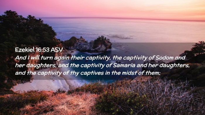 Picture 02 - Ezekiel 16:53 ASV Desktop Wallpaper - And I will turn again their captivity, the - Desktop Bible Verse Wallpaper