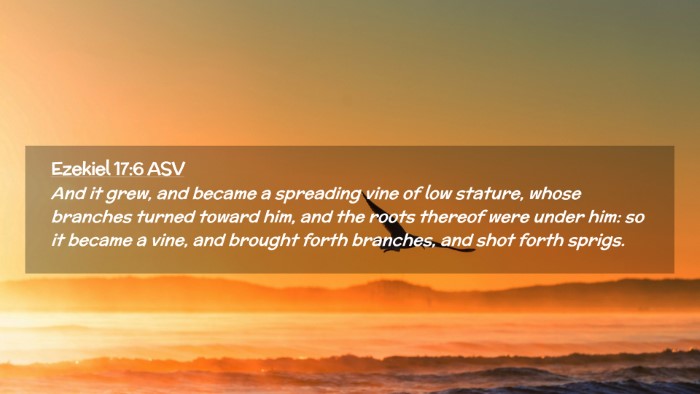 Picture 02 - Ezekiel 17:6 ASV Desktop Wallpaper - And it grew, and became a spreading vine of low - Desktop Bible Verse Wallpaper