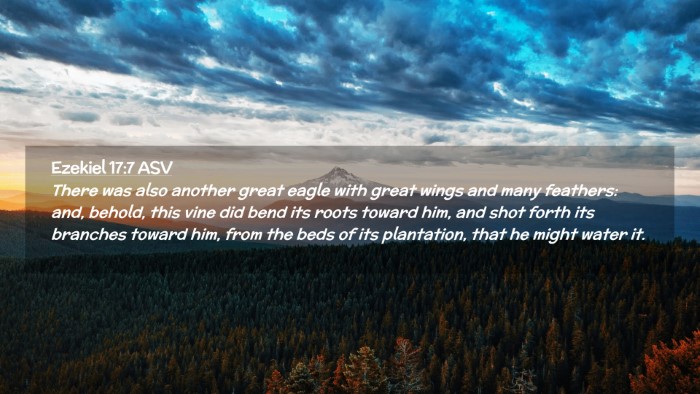 Picture 02 - Ezekiel 17:7 ASV Desktop Wallpaper - There was also another great eagle with great - Desktop Bible Verse Wallpaper