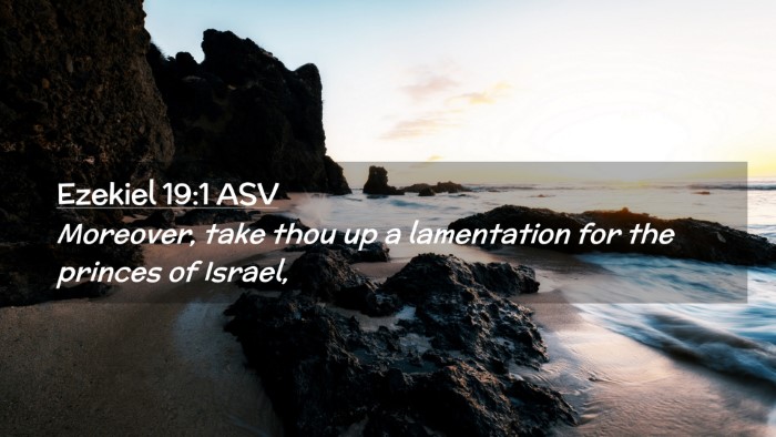 Picture 02 - Ezekiel 19:1 ASV Desktop Wallpaper - Moreover, take thou up a lamentation for the - Desktop Bible Verse Wallpaper