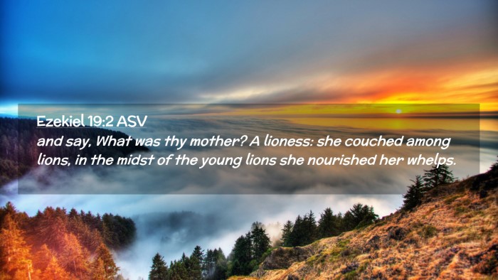 Picture 02 - Ezekiel 19:2 ASV Desktop Wallpaper - and say, What was thy mother? A lioness: she - Desktop Bible Verse Wallpaper