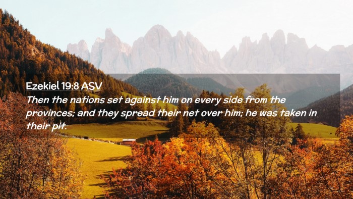 Picture 02 - Ezekiel 19:8 ASV Desktop Wallpaper - Then the nations set against him on every side - Desktop Bible Verse Wallpaper