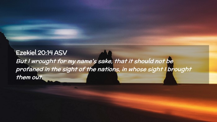Picture 02 - Ezekiel 20:14 ASV Desktop Wallpaper - But I wrought for my name's sake, that it should - Desktop Bible Verse Wallpaper