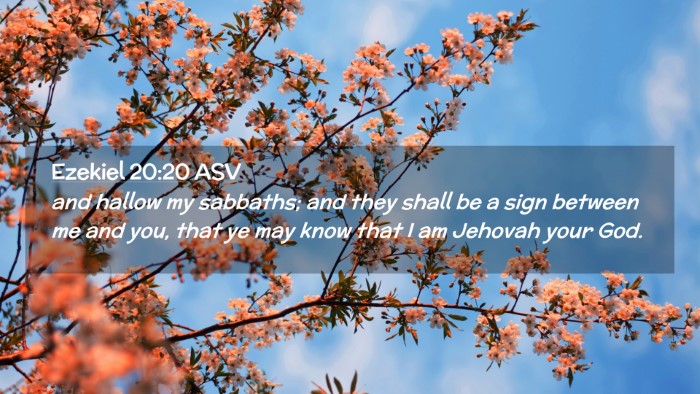 Picture 02 - Ezekiel 20:20 ASV Desktop Wallpaper - and hallow my sabbaths; and they shall be a sign - Desktop Bible Verse Wallpaper
