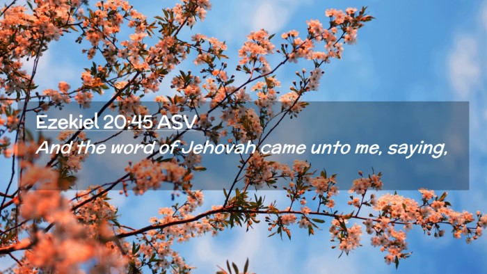 Picture 02 - Ezekiel 20:45 ASV Desktop Wallpaper - And the word of Jehovah came unto me, - Desktop Bible Verse Wallpaper