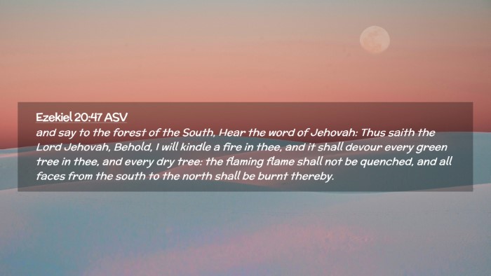 Picture 02 - Ezekiel 20:47 ASV Desktop Wallpaper - and say to the forest of the South, Hear the word - Desktop Bible Verse Wallpaper