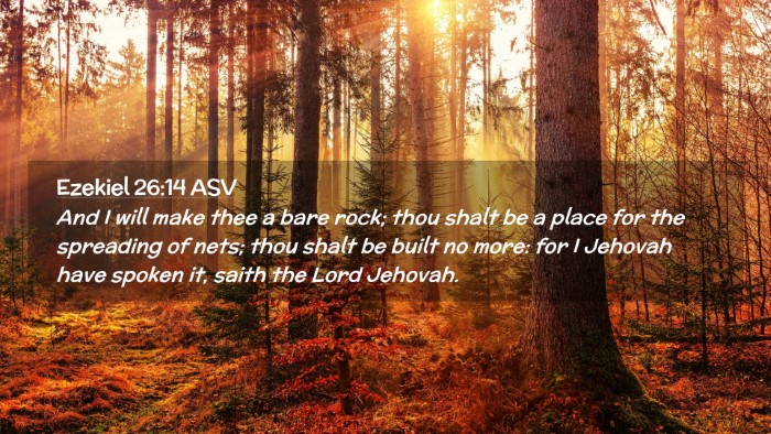 Picture 02 - Ezekiel 26:14 ASV Desktop Wallpaper - And I will make thee a bare rock; thou shalt be a - Desktop Bible Verse Wallpaper