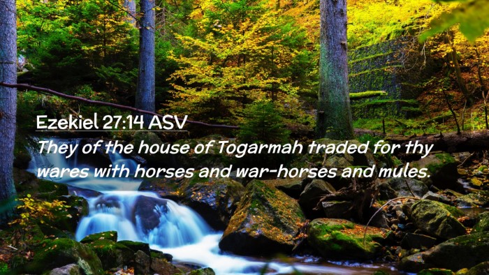 Picture 02 - Ezekiel 27:14 ASV Desktop Wallpaper - They of the house of Togarmah traded for thy - Desktop Bible Verse Wallpaper