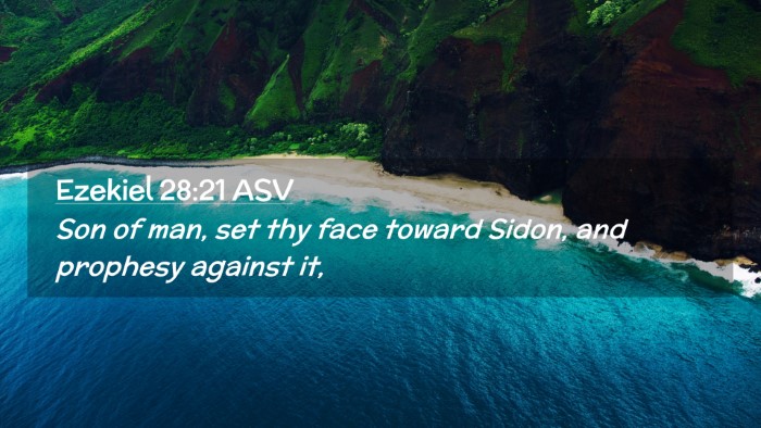 Picture 02 - Ezekiel 28:21 ASV Desktop Wallpaper - Son of man, set thy face toward Sidon, and - Desktop Bible Verse Wallpaper