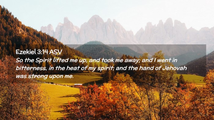 Picture 02 - Ezekiel 3:14 ASV Desktop Wallpaper - So the Spirit lifted me up, and took me away; and - Desktop Bible Verse Wallpaper