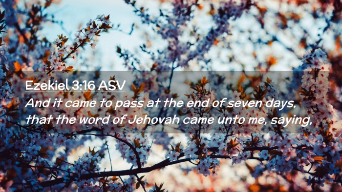 Picture 02 - Ezekiel 3:16 ASV Desktop Wallpaper - And it came to pass at the end of seven days, - Desktop Bible Verse Wallpaper