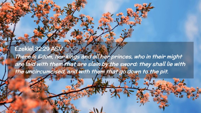 Picture 02 - Ezekiel 32:29 ASV Desktop Wallpaper - There is Edom, her kings and all her princes, who - Desktop Bible Verse Wallpaper