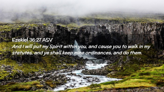 Picture 02 - Ezekiel 36:27 ASV Desktop Wallpaper - And I will put my Spirit within you, and cause - Desktop Bible Verse Wallpaper