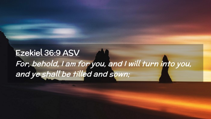 Picture 02 - Ezekiel 36:9 ASV Desktop Wallpaper - For, behold, I am for you, and I will turn into - Desktop Bible Verse Wallpaper