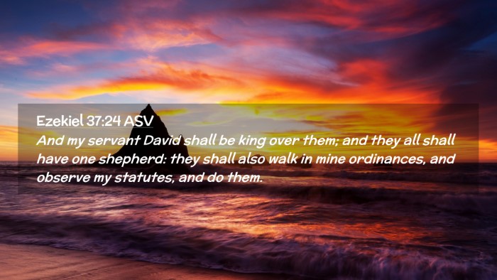Picture 02 - Ezekiel 37:24 ASV Desktop Wallpaper - And my servant David shall be king over them; and - Desktop Bible Verse Wallpaper