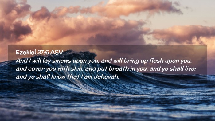 Picture 02 - Ezekiel 37:6 ASV Desktop Wallpaper - And I will lay sinews upon you, and will bring up - Desktop Bible Verse Wallpaper