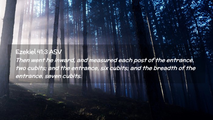 Picture 02 - Ezekiel 41:3 ASV Desktop Wallpaper - Then went he inward, and measured each post of - Desktop Bible Verse Wallpaper