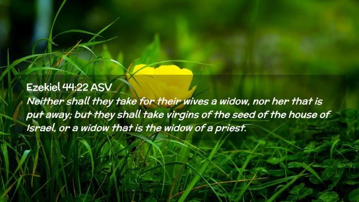 Picture 02 - Ezekiel 44:22 ASV Desktop Wallpaper - Neither shall they take for their wives a widow, - Desktop Bible Verse Wallpaper