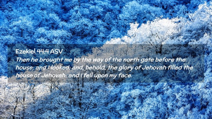 Picture 02 - Ezekiel 44:4 ASV Desktop Wallpaper - Then he brought me by the way of the north gate - Desktop Bible Verse Wallpaper