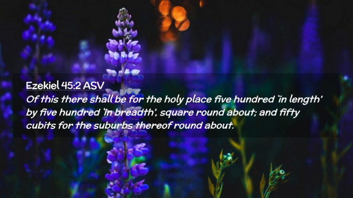 Picture 02 - Ezekiel 45:2 ASV Desktop Wallpaper - Of this there shall be for the holy place five - Desktop Bible Verse Wallpaper