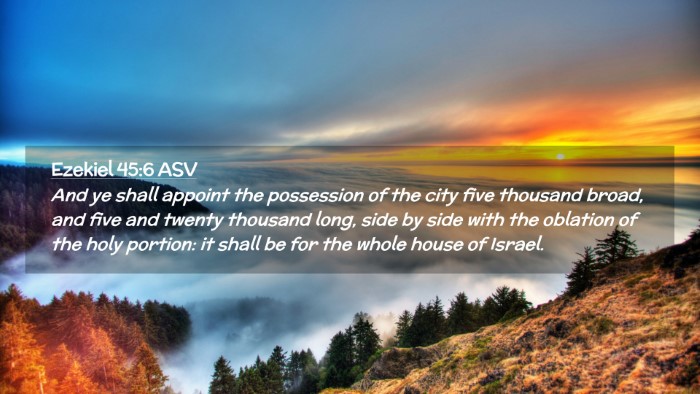 Picture 02 - Ezekiel 45:6 ASV Desktop Wallpaper - And ye shall appoint the possession of the city - Desktop Bible Verse Wallpaper