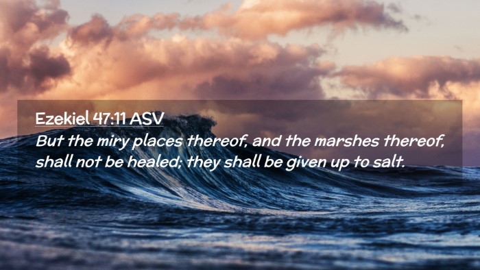 Picture 02 - Ezekiel 47:11 ASV Desktop Wallpaper - But the miry places thereof, and the marshes - Desktop Bible Verse Wallpaper