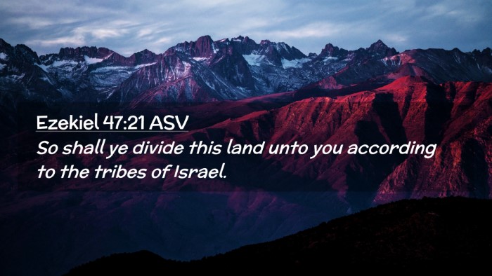 Picture 02 - Ezekiel 47:21 ASV Desktop Wallpaper - So shall ye divide this land unto you according - Desktop Bible Verse Wallpaper