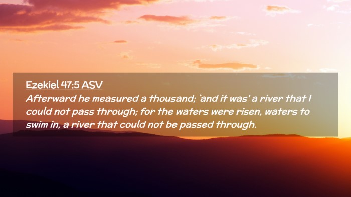 Picture 02 - Ezekiel 47:5 ASV Desktop Wallpaper - Afterward he measured a thousand; `and it was' a - Desktop Bible Verse Wallpaper