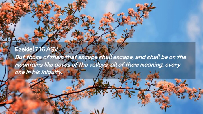 Picture 02 - Ezekiel 7:16 ASV Desktop Wallpaper - But those of them that escape shall escape, and - Desktop Bible Verse Wallpaper