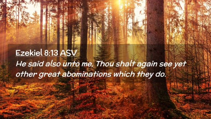 Picture 02 - Ezekiel 8:13 ASV Desktop Wallpaper - He said also unto me, Thou shalt again see yet - Desktop Bible Verse Wallpaper