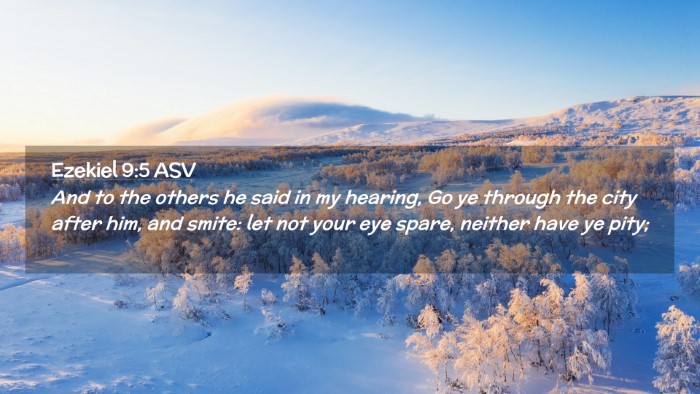 Picture 02 - Ezekiel 9:5 ASV Desktop Wallpaper - And to the others he said in my hearing, Go ye - Desktop Bible Verse Wallpaper