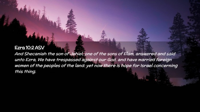 Picture 02 - Ezra 10:2 ASV Desktop Wallpaper - And Shecaniah the son of Jehiel, one of the sons - Desktop Bible Verse Wallpaper