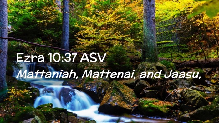 Picture 02 - Ezra 10:37 ASV Desktop Wallpaper - Mattaniah, Mattenai, and - Desktop Bible Verse Wallpaper