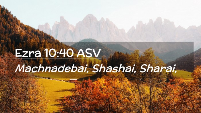 Picture 02 - Ezra 10:40 ASV Desktop Wallpaper - Machnadebai, Shashai, - Desktop Bible Verse Wallpaper