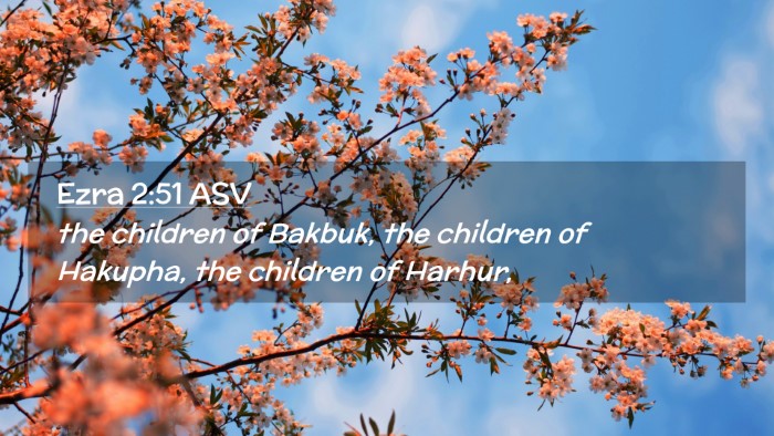 Picture 02 - Ezra 2:51 ASV Desktop Wallpaper - the children of Bakbuk, the children of Hakupha, - Desktop Bible Verse Wallpaper