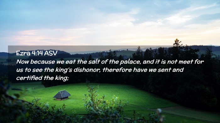 Picture 02 - Ezra 4:14 ASV Desktop Wallpaper - Now because we eat the salt of the palace, and it - Desktop Bible Verse Wallpaper