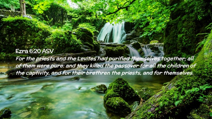 Picture 02 - Ezra 6:20 ASV Desktop Wallpaper - For the priests and the Levites had purified - Desktop Bible Verse Wallpaper
