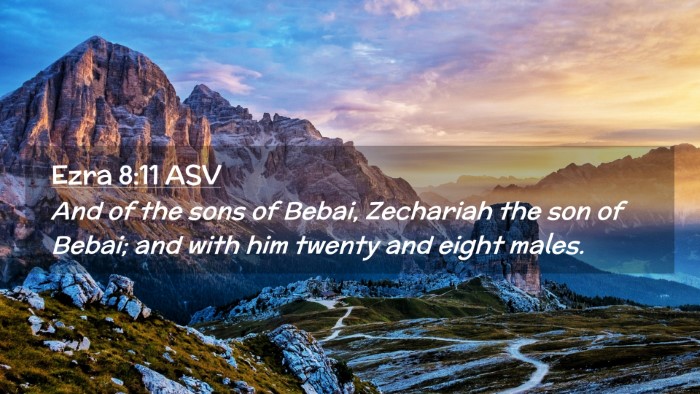 Picture 02 - Ezra 8:11 ASV Desktop Wallpaper - And of the sons of Bebai, Zechariah the son of - Desktop Bible Verse Wallpaper