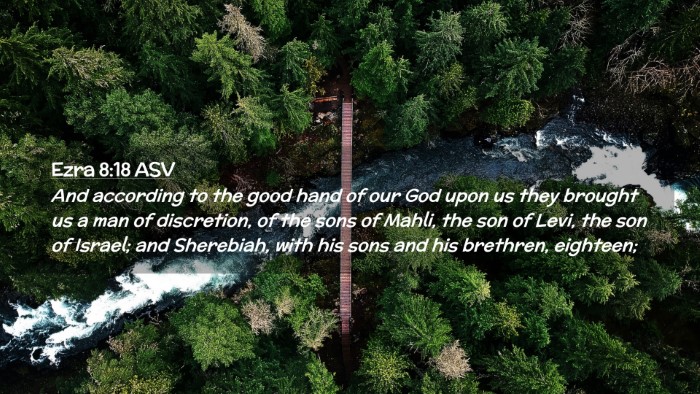 Picture 02 - Ezra 8:18 ASV Desktop Wallpaper - And according to the good hand of our God upon us - Desktop Bible Verse Wallpaper