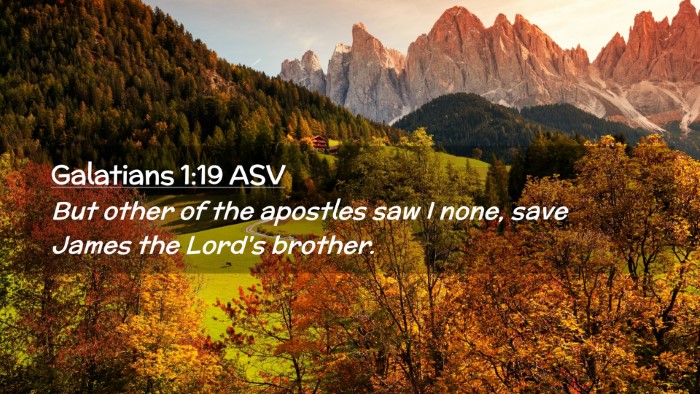 Picture 02 - Galatians 1:19 ASV Desktop Wallpaper - But other of the apostles saw I none, save James - Desktop Bible Verse Wallpaper
