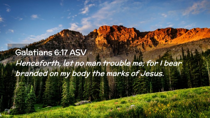 Picture 02 - Galatians 6:17 ASV Desktop Wallpaper - Henceforth, let no man trouble me; for I bear - Desktop Bible Verse Wallpaper