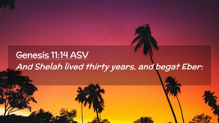 Picture 02 - Genesis 11:14 ASV Desktop Wallpaper - And Shelah lived thirty years, and begat - Desktop Bible Verse Wallpaper
