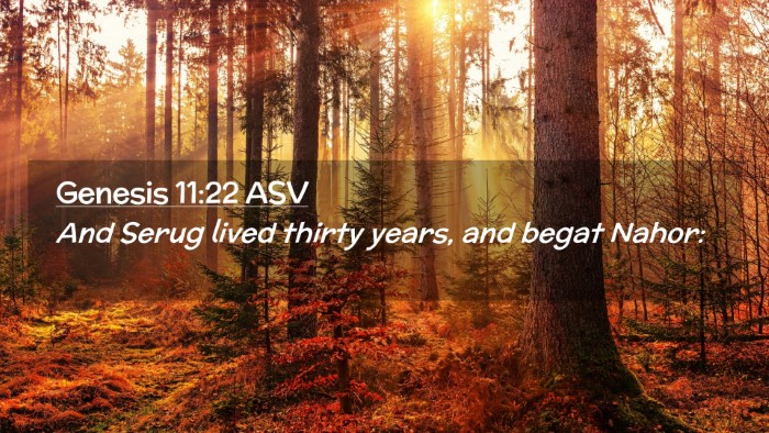 Picture 02 - Genesis 11:22 ASV Desktop Wallpaper - And Serug lived thirty years, and begat - Desktop Bible Verse Wallpaper