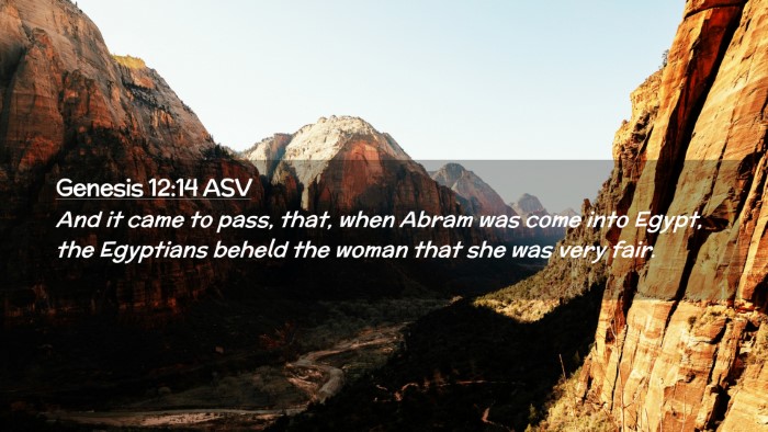 Picture 02 - Genesis 12:14 ASV Desktop Wallpaper - And it came to pass, that, when Abram was come - Desktop Bible Verse Wallpaper